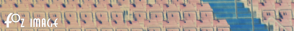 Fozimage – Masthead - Millennium stadium Cardiff